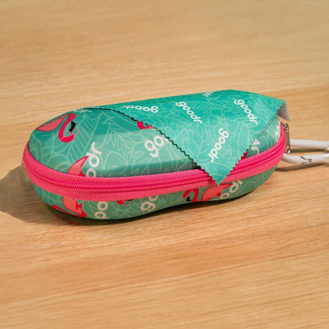 "Best Case Scenario” Sunglasses Case with Carabiner - X747X