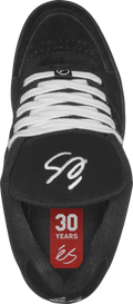 eS Accel Skate Shoes