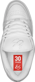 eS Accel Skate Shoes