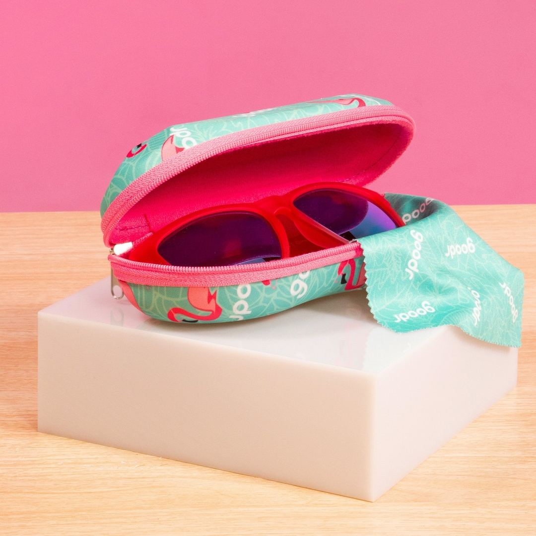 "Best Case Scenario” Sunglasses Case with Carabiner - X747X
