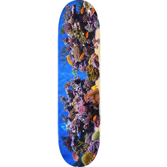 Mini Logo Fish Tank ″18″ Skateboard Deck 244 - 8.5″
