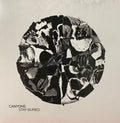 Canyons – Stay Buried Gold Flake Color Vinyl LP Record - X747X