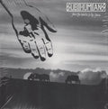 Subhumans - From The Cradle To The Grave Vinyl LP Record - X747X