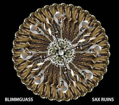 Sax Ruins - Blimmgausse Vinyl LP Record