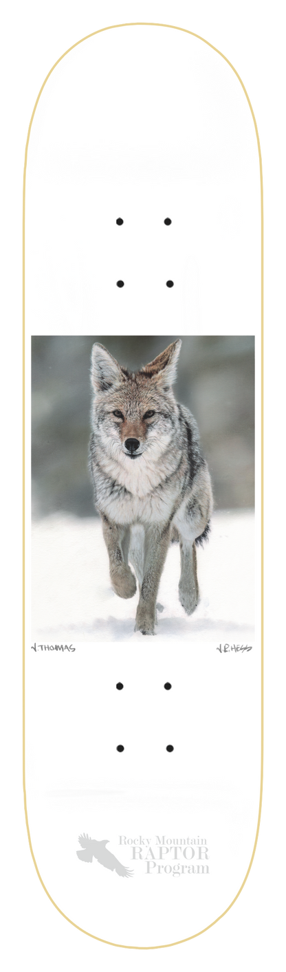 ZERO THOMAS COYOTE 8.5" SKATEBOARD DECK